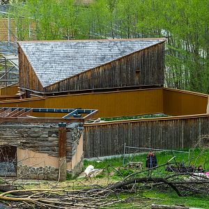 enclosure of red panda