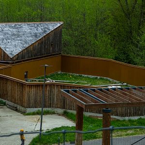 enclosure of red panda
