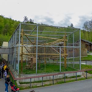 enclosure of lynx (exp. snow leopard #2)