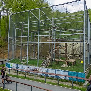 enclosure of snow leopard