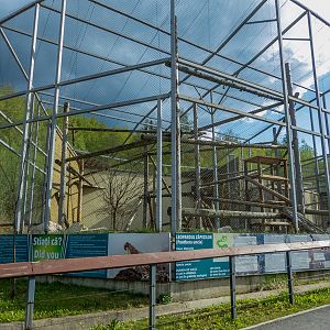 enclosure of snow leopard