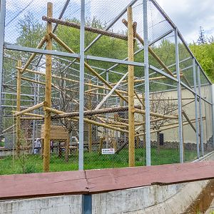 enclosure of lynx (exp. snow leopard #2)