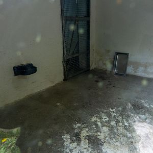 indoor enclosure of birds (resp. lynx)