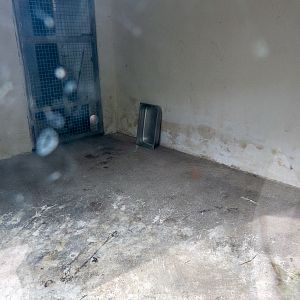 indoor enclosure of birds (resp. lynx)