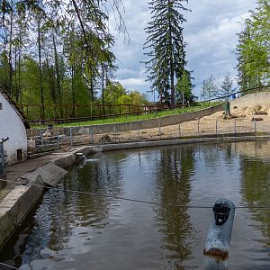 enclosure of nutrias