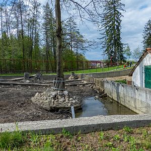 enclosure of wild boar