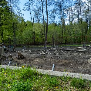 enclosure of wild boar