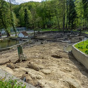 enclosure of wild boar