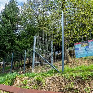 enclosure of roe deer