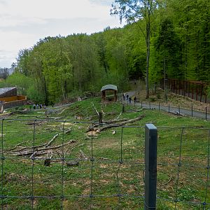 enclosure of goats and donkeys