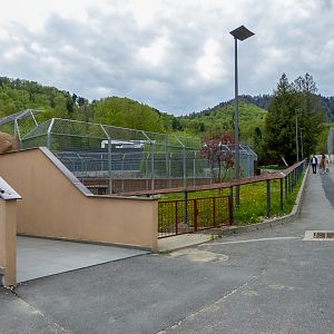 enclosure of big cats