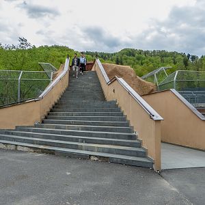 enclosure of big cats