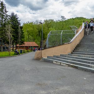 enclosure of big cats