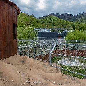 enclosure of big cats