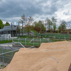 enclosure of big cats