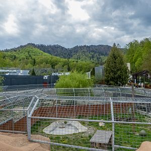 enclosure of big cats