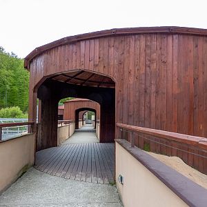 enclosure of big cats