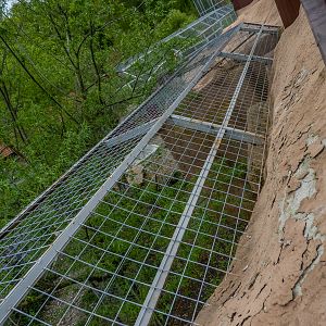 enclosure of big cats