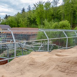 enclosure of big cats