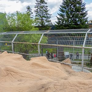 enclosure of big cats