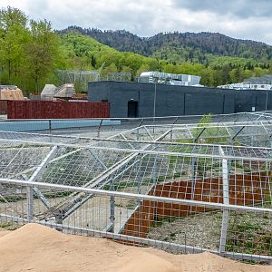 enclosure of big cats