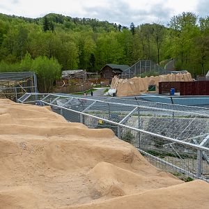enclosure of big cats