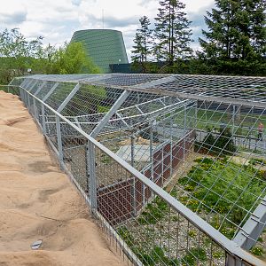 enclosure of big cats