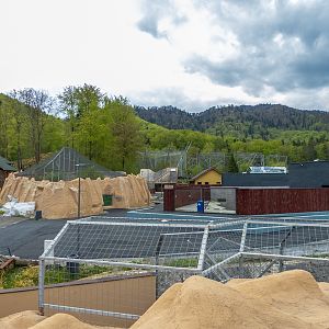 enclosure of big cats