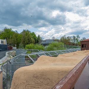 enclosure of big cats