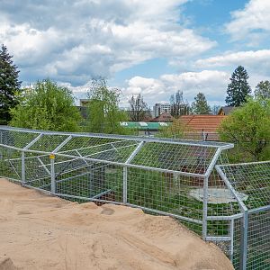 enclosure of big cats