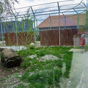 enclosure of big cats