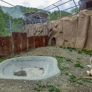 enclosure of big cats