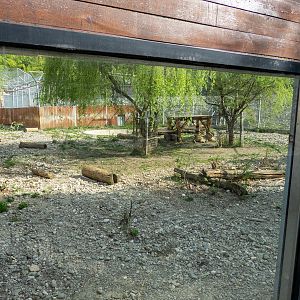 enclosure of big cats