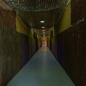 indoor enclosure of big cats