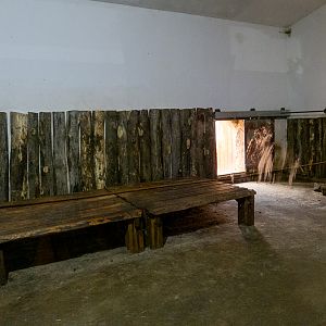 indoor enclosure of big cats