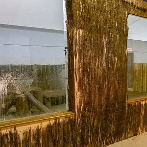 indoor enclosure of big cats