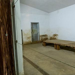 indoor enclosure of big cats