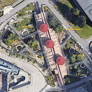 map of enclosure of big cats