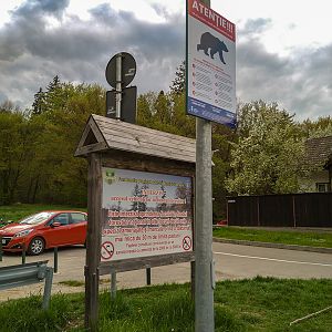 sign about wild bears