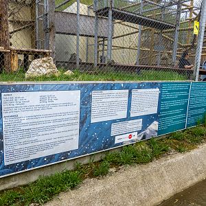 sign of snow leopard