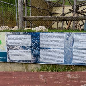 sign of snow leopard