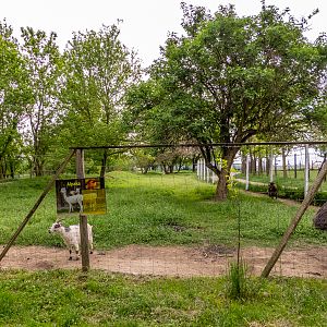 enclosure of ungulates