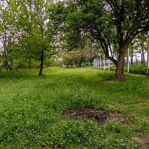 enclosure of ungulates