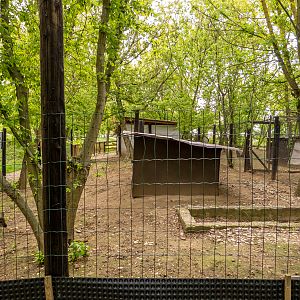enclosure of wallabies