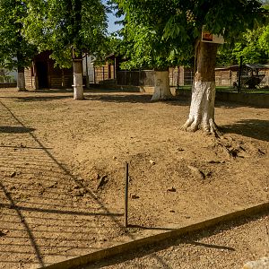 enclosure of fallow deer