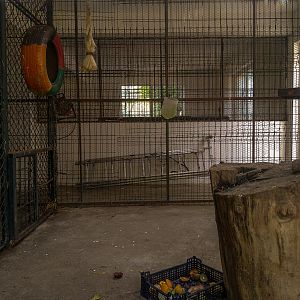 indoor enclosure of crab-eating macaque