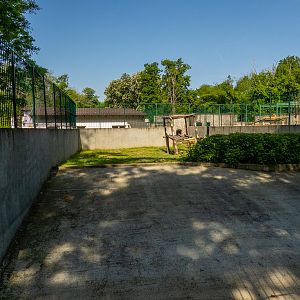 enclosure of lion #2