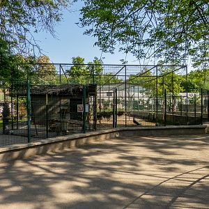 enclosure of guinea pig inside the enclosure of peafowl