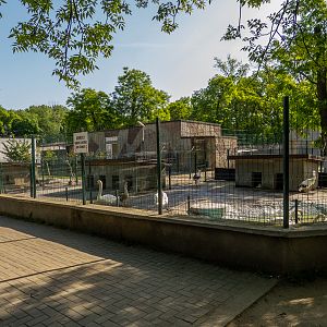 enclosure of storks and swans