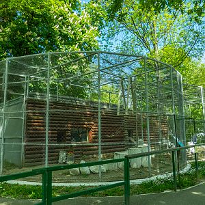 enclosure of Barbary macaque